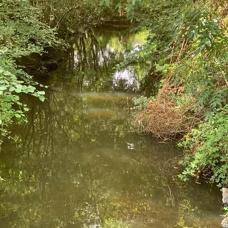 Detente Au Moulinard A 4 Minutes De Cholet La Seguiniere